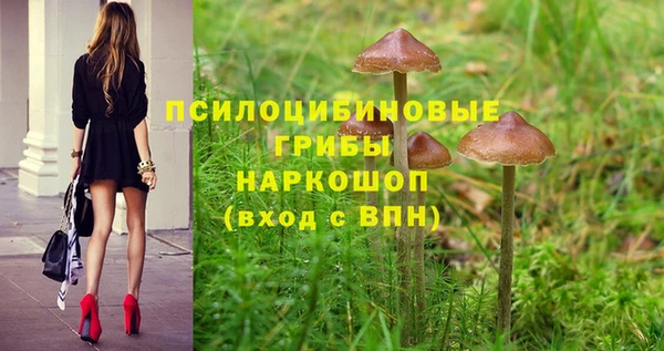 твердый Нефтекумск