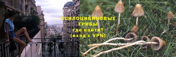 твердый Нефтекумск
