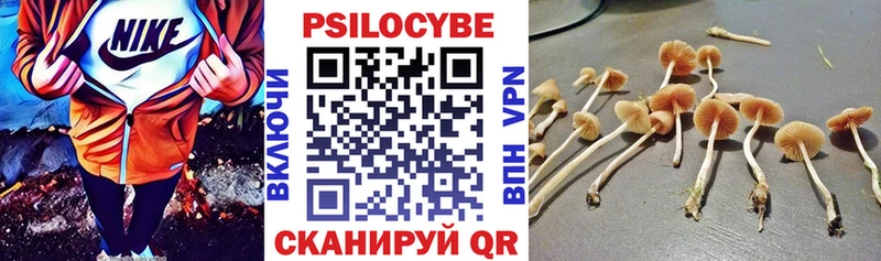 Псилоцибиновые грибы GOLDEN TEACHER  Купить  Дивногорск 